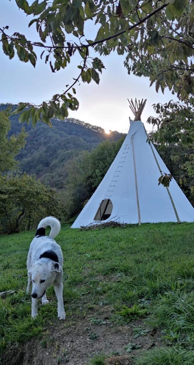 @Gatetothewild Bed & Breakfast Coreglia Ligure Exterior foto